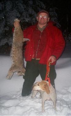 Snow, Dog, Bobcat